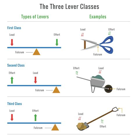 Different Levers of Learning