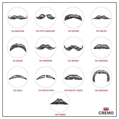 Different Mustache Styles