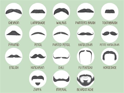 Different Mustache Styles Photos