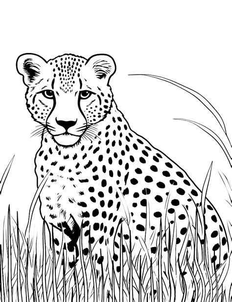 Different Styles of Cheetah Coloring Sheets