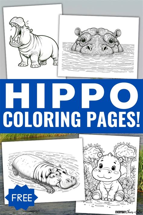 Different Styles of Hippo Pages