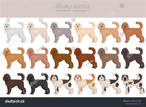Different Styles of Labrador Drawings