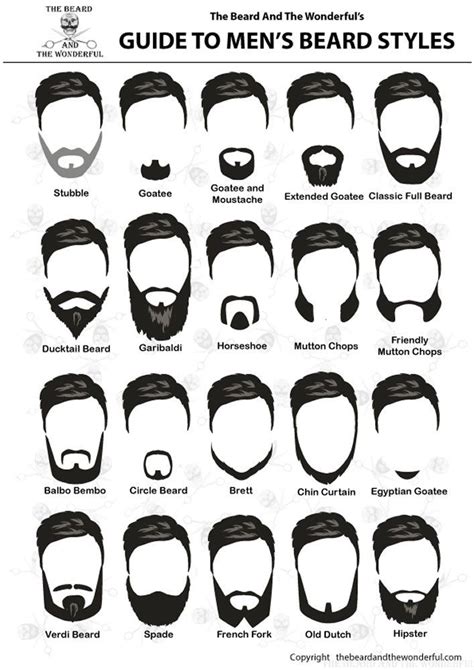 Different Types Of Beard Hair
