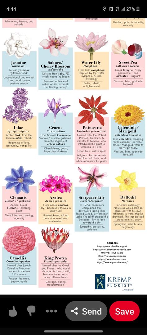 Different Types Of Flowers Tattoo