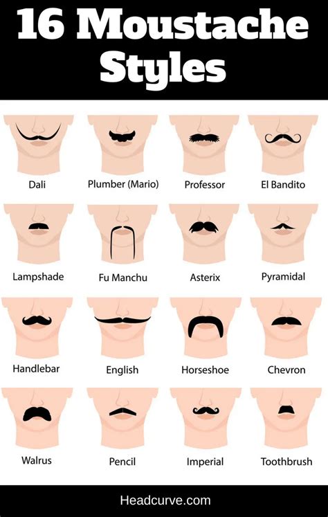 Different Types Of Mustache Styles
