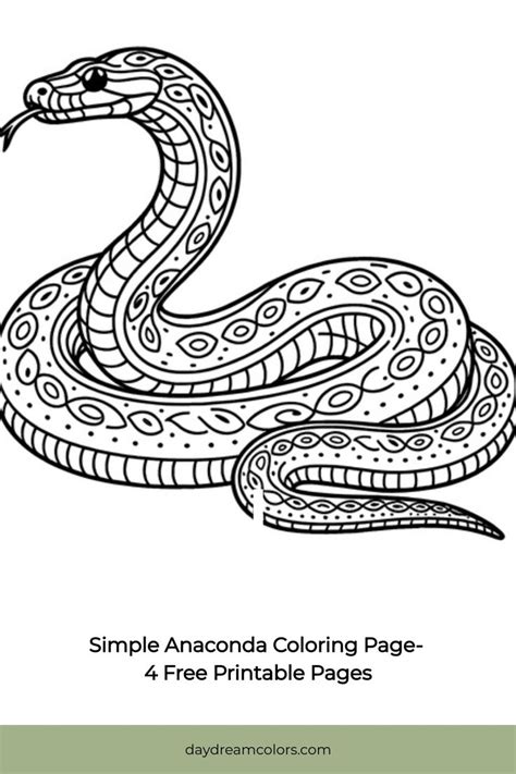 Different Types of Anaconda Colouring Pages