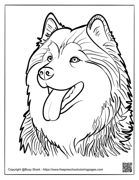 Different Types of Free Printable Husky Coloring Pages Available