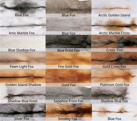 Different Types of Fur Coat