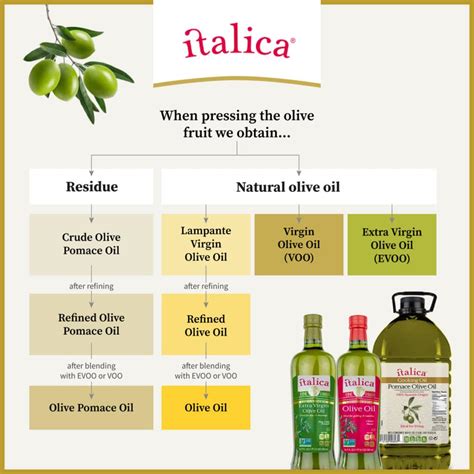Different Types of Olive Oil