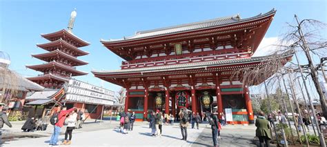 Different Types of Tokyo Private Tours