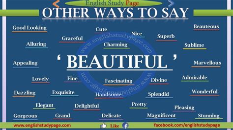 Discover the Alluring Lexicons: A plethora of Different Words for BeautifulorThe Enchanting Thesaurus: Unveiling Varied Synonyms for the word Beautiful
