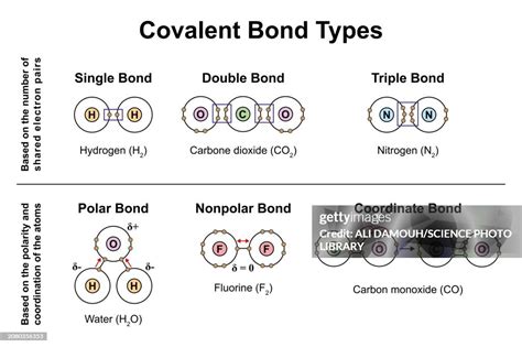 Different types of Covalent Bond