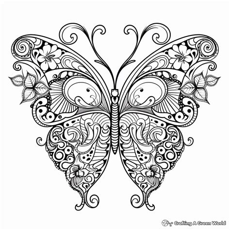 Difficult Butterfly Coloring Pages