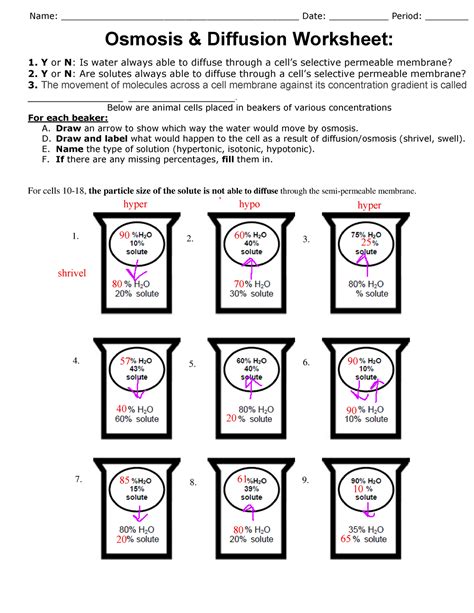 Diffusion Practice Worksheet