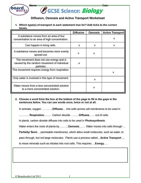 Diffusion Vs Active Transport Worksheet