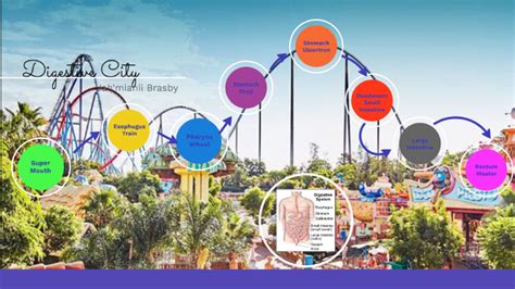 Embark on an Enlightening Journey through the Wonders of Digestion with Our Unforgettable Digestive System Theme Park Experience!