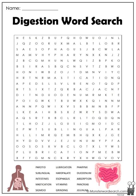 Digestive System Word Search Printable Digestive System Diagram Without Labels