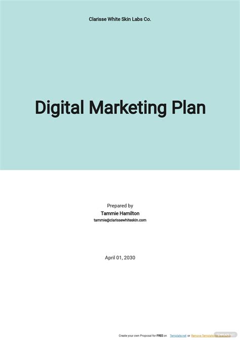 5+ Digital Marketing Business Plan Templates in PDF MS Word Google