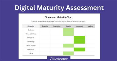 Digital Maturity Assessment Template