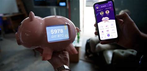 Digital Piggy Banks