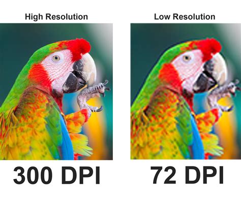 Digital Resolution vs. Biological Resolution