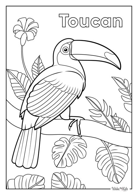 Digital vs. Printable Toucan Colouring Sheets