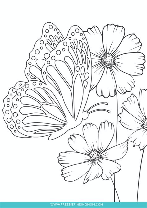 Digital vs. Printable Unique Colouring Pages