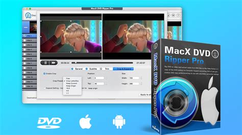 Digitizing Your DVD Collection Is Easy