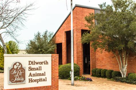 Dilworth Small Animal Hospital: Providing Exceptional Veterinary Care for Pets in Charlotte