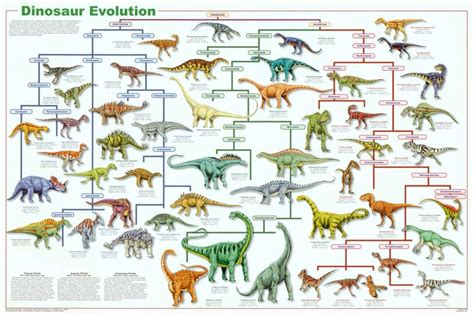 Dinosaur Breeds Chart