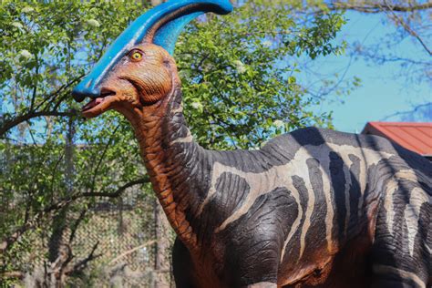 Dinosaur Exhibit St Louis