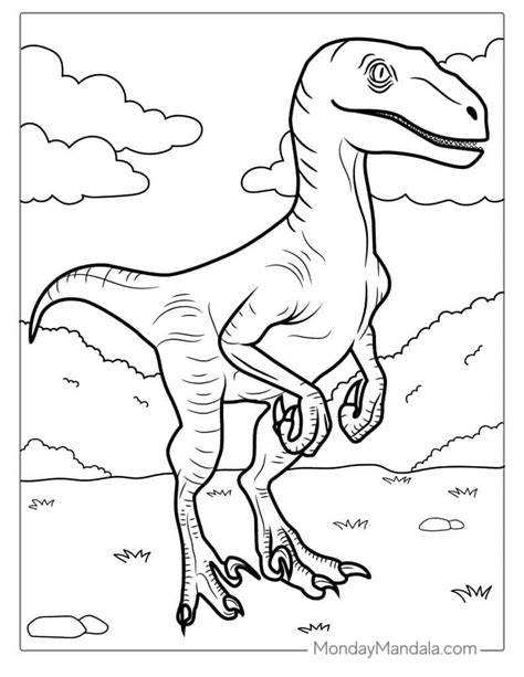 Dinosaur Raptor Coloring Pages