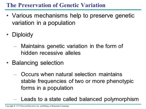 Diploidy Help Preserve Genetic Variation