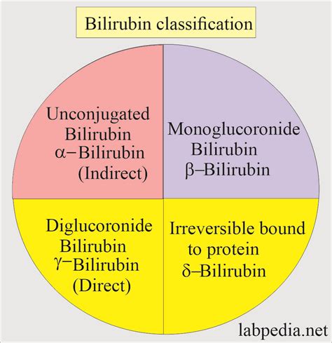 Direct Bilirubin Test and interpretation