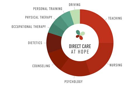 Direct Care Roles