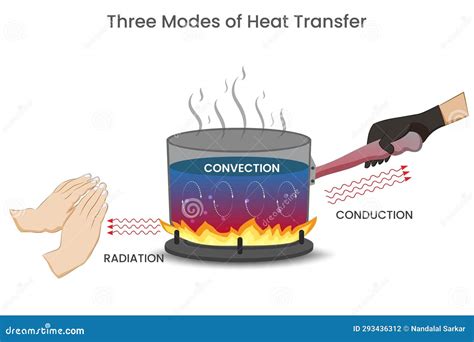 Direct Heat vs. Convection
