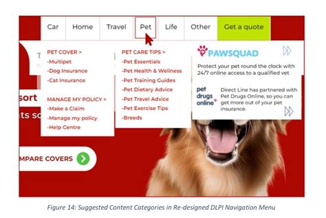 Directline Pet Insurance