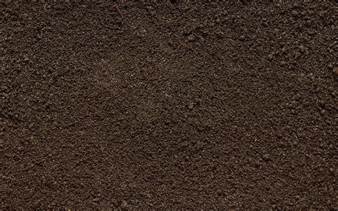 Dirt