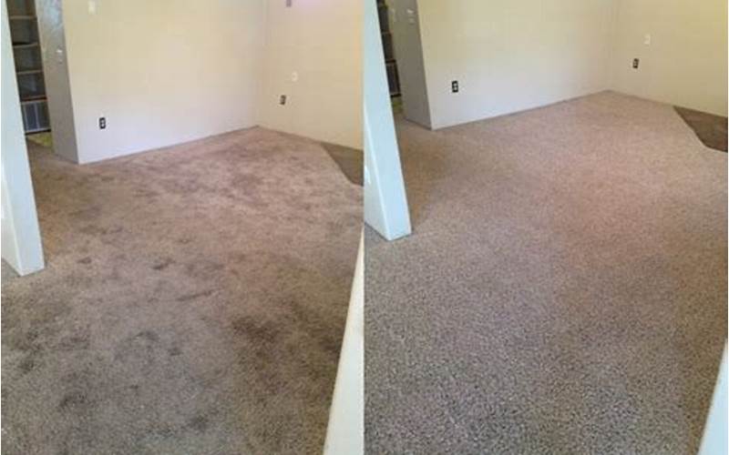 Dirty Carpet