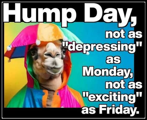 Dirty Humpday Memes