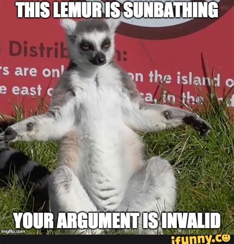 Dirty Lemur Memes