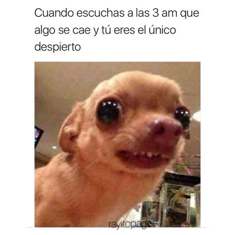 Dirty Memes In Spanish