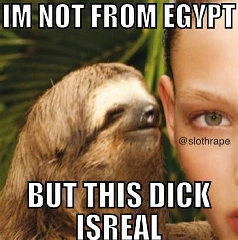 Dirty Memes Sloth