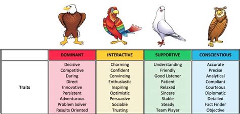 Disc Bird Personality Test Free