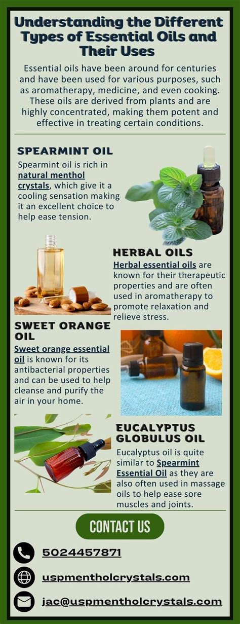 Dischem Essential Oils: Understanding the Basics