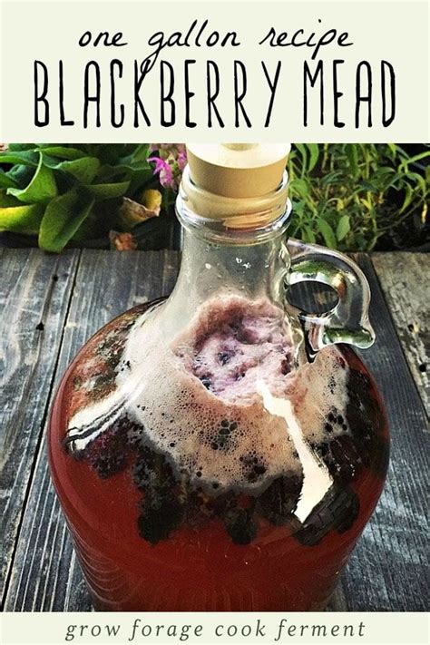 Discover How to Make Delicious Blackberry Mead at Home