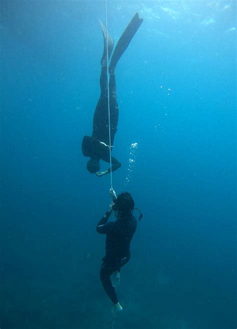 Discover Freediving