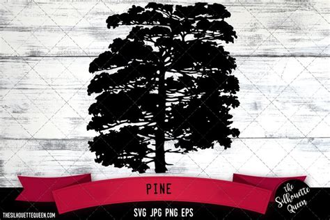 Discover How To Create Amazing Images With Pine SVG!