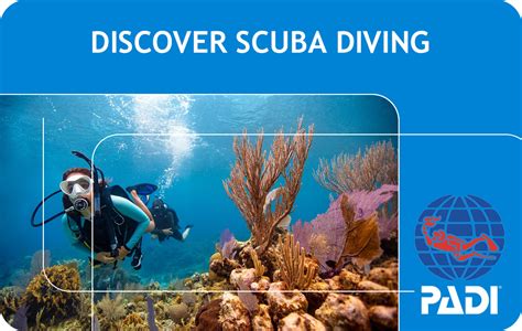 Discover Scuba Diving Program