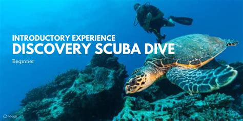Discover Scuba Diving concept